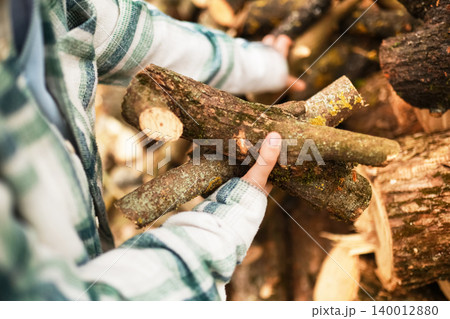 Close-up of hands holding cut wooden logs from a firewood pile, wearing a plaid shirt while gathering rustic timber outdoors. 140012880