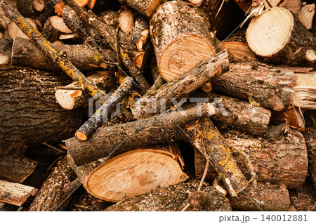 A rustic woodpile consisting of a large, disorganized pile of cut wooden logs and branches with rough bark texture, ready to be used as timber or firewood. A rustic woodpile consisting of a large, disorganized pile of cut wooden logs and branches with rough bark texture, ready to be used as timber or firewood. 140012881