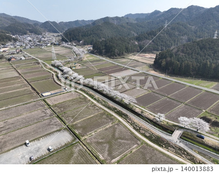 岐阜県岐阜市 彦坂の綺麗な桜並木 岐阜県岐阜市 彦坂の綺麗な桜並木 140013883