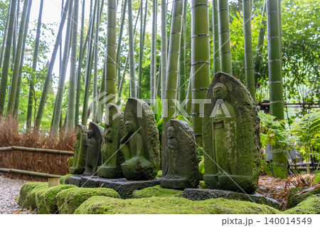Jizo Bosatsu statues in the bamboo forest of Hokoku-ji, Kamakura 140014549