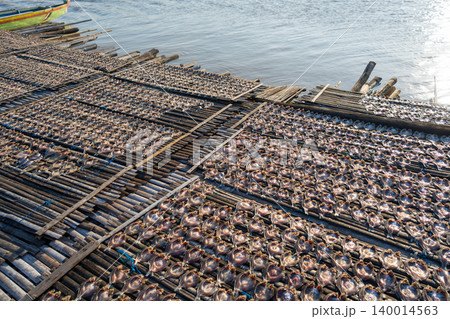 Drying fish on traditional floating house, Lake Tempe, Indonesia Drying fish on traditional floating house, Lake Tempe, Indonesia 140014563