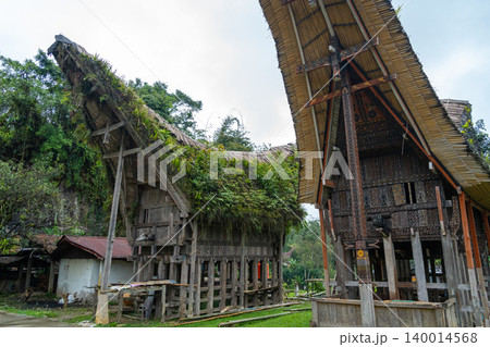 Traditional Toraja houses with buffalo horns, Sulawesi, Indonesia Traditional Toraja houses with buffalo horns, Sulawesi, Indonesia 140014568