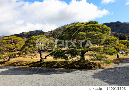 修学院離宮 日本庭園 木々 修学院離宮 日本庭園 木々 140015598