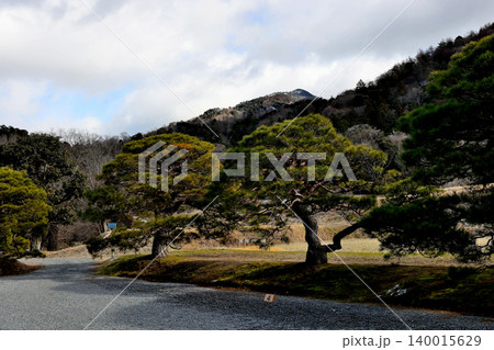 修学院離宮 日本庭園 木々 修学院離宮 日本庭園 木々 140015629
