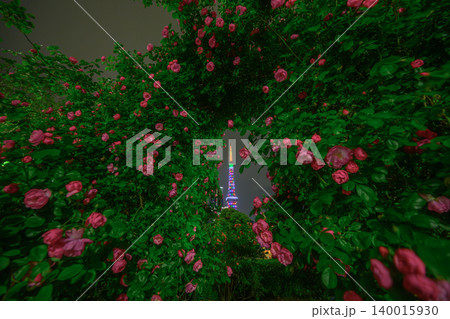 薔薇と東京タワー(芝公園) 薔薇と東京タワー(芝公園) 140015930