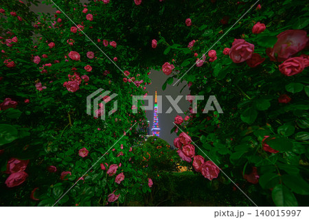 薔薇と東京タワー(芝公園) 薔薇と東京タワー(芝公園) 140015997