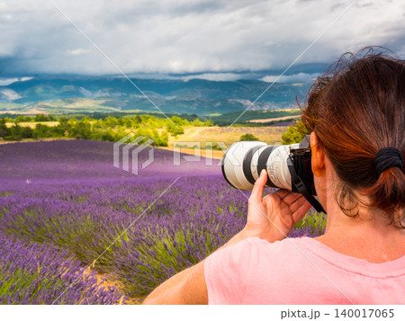 Woman take photo on lavender field, Provence France Woman take photo on lavender field, Provence France 140017065
