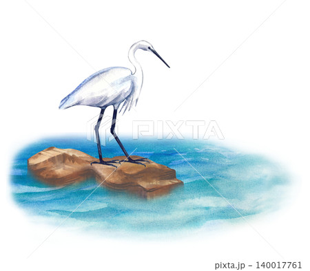 Watercolor white heron on sea rock. Isolated coastal egret bird illustration. For summer travel graphics, seaside posters, resort branding, and nature greeting cards. Watercolor white heron on sea rock. Isolated coastal egret bird illustration. For summer travel graphics, seaside posters, resort branding, and nature greeting cards. 140017761