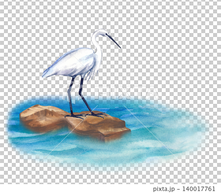 Watercolor white heron on sea rock. Isolated coastal egret bird illustration. For summer travel graphics, seaside posters, resort branding, and nature greeting cards. Watercolor white heron on sea rock. Isolated coastal egret bird illustration. For summer travel graphics, seaside posters, resort branding, and nature greeting cards. 140017761