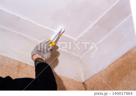 Close up of roller soaking up white paint. DIY approach to home care. Pleasant changes start small. Family budget control through self-repair Close up of roller soaking up white paint. DIY approach to home care. Pleasant changes start small. Family budget control through self-repair 140017864