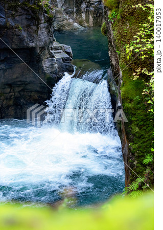 River in the rainforest and waterfall cascades among trees and ferns. 140017953