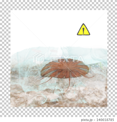 黄色の注意マーク付き アカクラゲの危険注意イラスト 浅瀬の海辺 黄色の注意マーク付き アカクラゲの危険注意イラスト 浅瀬の海辺 140018785