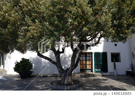 Beautiful mediterranean White Houses of Cadaques Costa Brava Spain Beautiful mediterranean White Houses of Cadaques Costa Brava Spain 140018885