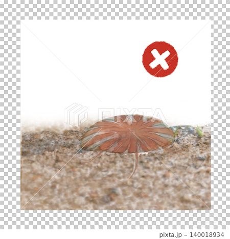 砂浜に打ち上げられたアカクラゲと危険マークの水彩風イラスト 砂浜に打ち上げられたアカクラゲと危険マークの水彩風イラスト 140018934