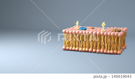 Membrane section of fluid lipid layers and subtle molecular detail - 3d illustration 140019043