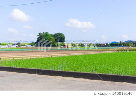 千葉県松戸市新松戸の風景2026年5月 千葉県松戸市新松戸の風景2026年5月 140019146