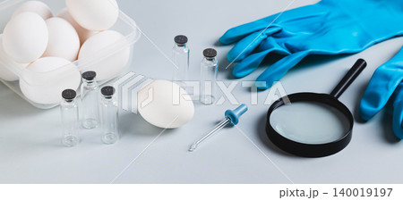 Salmonella concept, chicken egg, pipette and magnifying glass on the table web banner 140019197