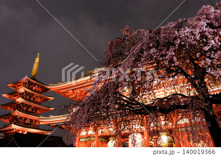 春の雨夜にライトアップされた東京・浅草寺の宝蔵門と五重塔、夜桜 春の雨夜にライトアップされた東京・浅草寺の宝蔵門と五重塔、夜桜 140019366