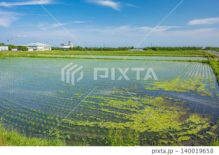 琵琶湖畔に広がる田園地帯　滋賀県高島市マキノ町 140019658