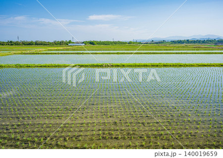 琵琶湖畔に広がる田園地帯　滋賀県高島市マキノ町 140019659