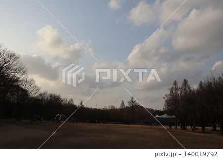 Park Landscape with Cloudy Sky and Open Field 140019792