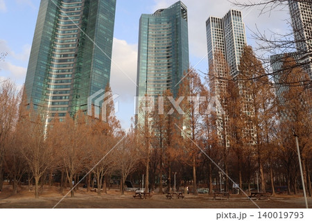 Urban Park with Modern Skyscrapers 140019793