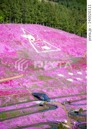 満開の東藻琴芝桜公園 満開の東藻琴芝桜公園 140020111