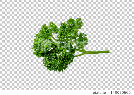 Close-up cutout photo of parsley leaves used for garnishing food. Close-up cutout photo of parsley leaves used for garnishing food. 140020660