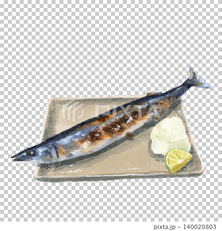 水彩で描いた秋刀魚のイラスト 水彩で描いた秋刀魚のイラスト 140020803