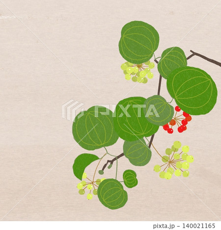 手描きの花のイラスト サンキライ 手描きの花のイラスト サンキライ 140021165