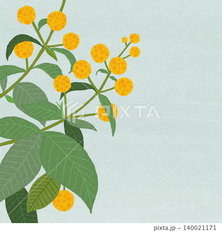 手描きの花のイラスト ブッドレアグロボーサ 手描きの花のイラスト ブッドレアグロボーサ 140021171