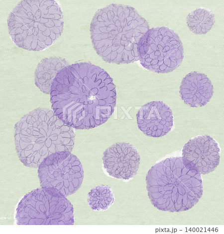 手描きの花のイラスト クジャクアスター 手描きの花のイラスト クジャクアスター 140021446