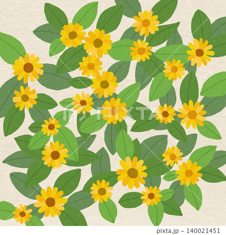 手描きの花のイラスト メランポディウム 手描きの花のイラスト メランポディウム 140021451