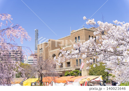 名古屋市 昭和区 鶴舞公園 桜と岡谷鋼機名古屋公会堂 名古屋市 昭和区 鶴舞公園 桜と岡谷鋼機名古屋公会堂 140021646