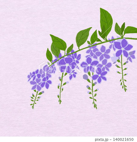 手描きの花のイラスト デュランタ 手描きの花のイラスト デュランタ 140021650