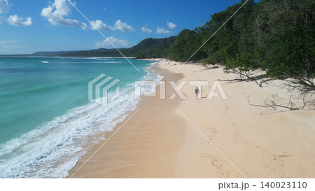 Aerial perspective capturing tranquil island coast with forest and ocean meeting 140023110