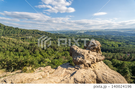 View of Kislovodsk Park and the cable car from the mountain 140024196