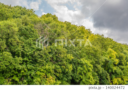Thick green forest on the hillside. Thick green forest on the hillside. 140024472