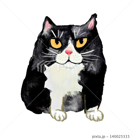 はちわれの猫のイラスト 140025315
