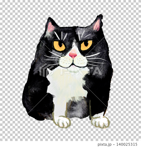 はちわれの猫のイラスト 140025315