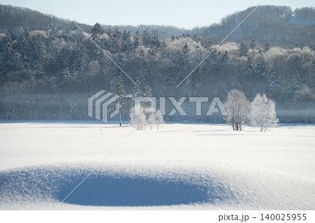 北海道の冬の風景(1月) 北海道の冬の風景(1月) 140025955