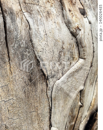 Weathered wood surface with visible grain and aged texture. Rustic natural wooden background Weathered wood surface with visible grain and aged texture. Rustic natural wooden background 140026485