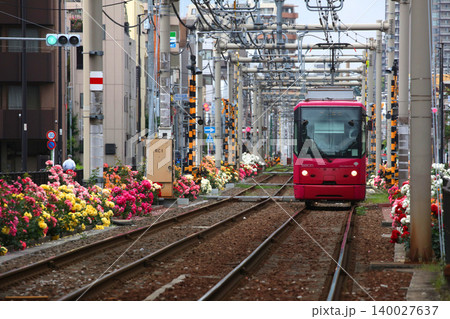 バラが咲き乱れる都電荒川線 バラが咲き乱れる都電荒川線 140027637