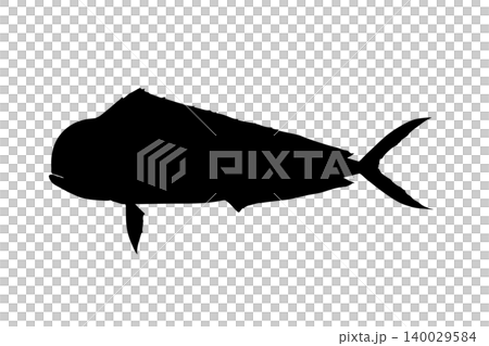 Mahi-mahi silhouette - Fish illustration material Mahi-mahi silhouette - Fish illustration material 140029584