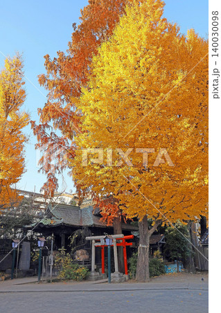 千住本氷川神社(足立) 千住本氷川神社(足立) 140030098
