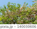 World-class tropical forest flowers of Southeast Asia. 140030606