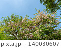 World-class tropical forest flowers of Southeast Asia. 140030607