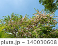 World-class tropical forest flowers of Southeast Asia. 140030608