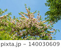 World-class tropical forest flowers of Southeast Asia. 140030609