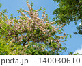 World-class tropical forest flowers of Southeast Asia. 140030610